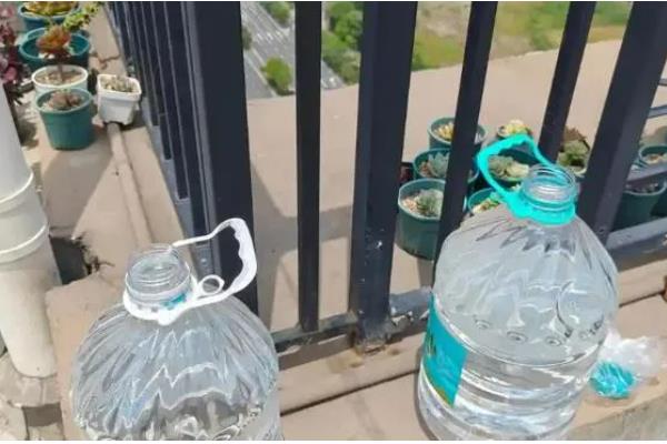 如何水培风信子，建议使用专门的水培瓶