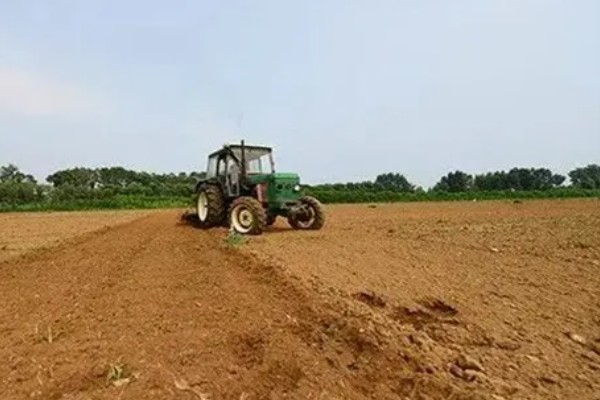 牡丹花种子浸泡多久，要浸泡一天左右