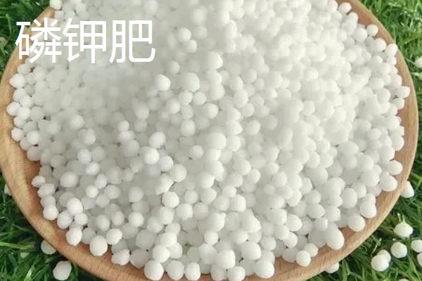 种葡萄使用哪些肥料,春季萌芽前追施速效氮肥