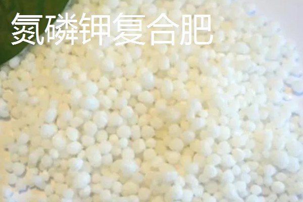 种葡萄使用哪些肥料,春季萌芽前追施速效氮肥