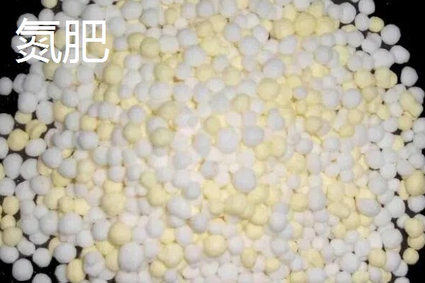 种葡萄使用哪些肥料,春季萌芽前追施速效氮肥