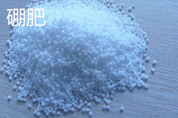 种葡萄使用哪些肥料,春季萌芽前追施速效氮肥