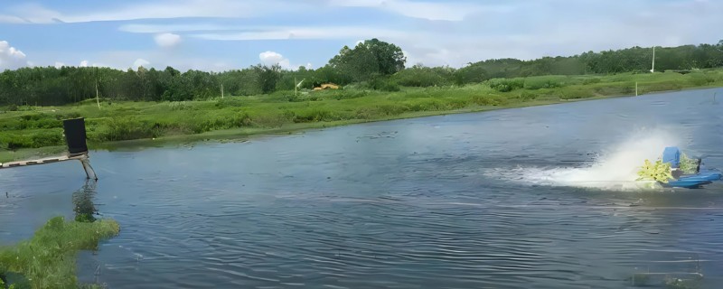 鱼塘水质怎么调理，每隔7-10天加注新鲜水
