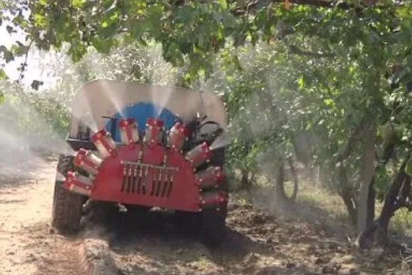 葡萄使用钾肥的时间，以浆果膨大期、浆果着色成熟期为宜