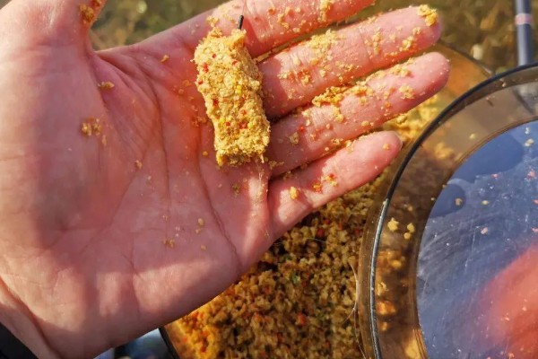 钓鲤鱼和草鱼选择哪些饵料，春季至秋季用玉米等素饵