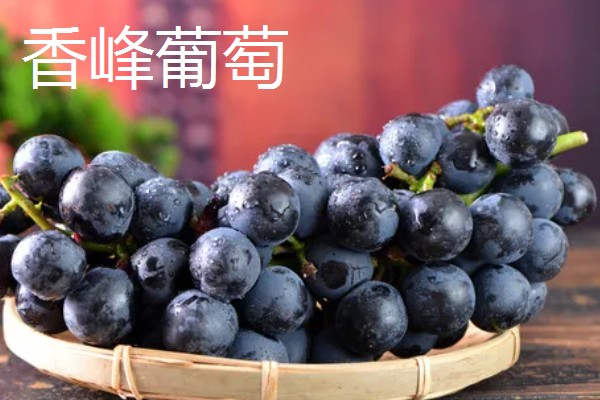 浪漫红颜葡萄的简介，果肉呈红黄色