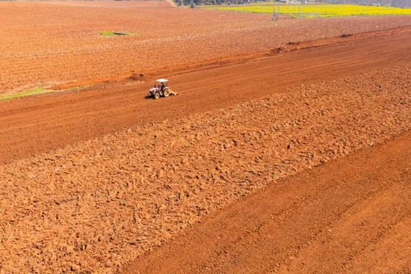 麦冬用哪种土种植，最好是沙性土壤