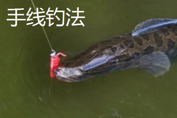 钓黑鱼用什么打窝合适，可以用鸡肝、鸭肠、蚯蚓等