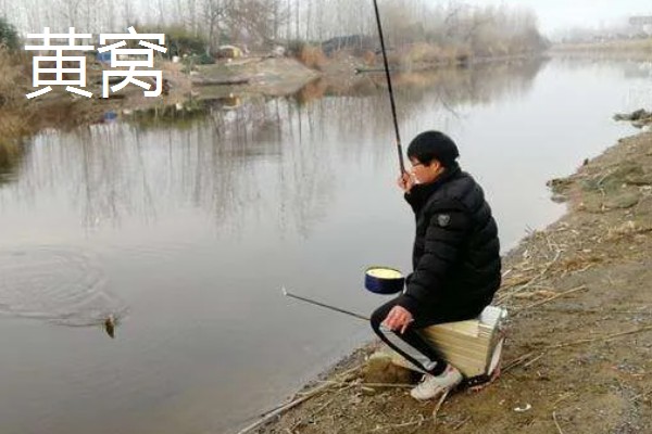 钓黑鱼用什么打窝合适，可以用鸡肝、鸭肠、蚯蚓等