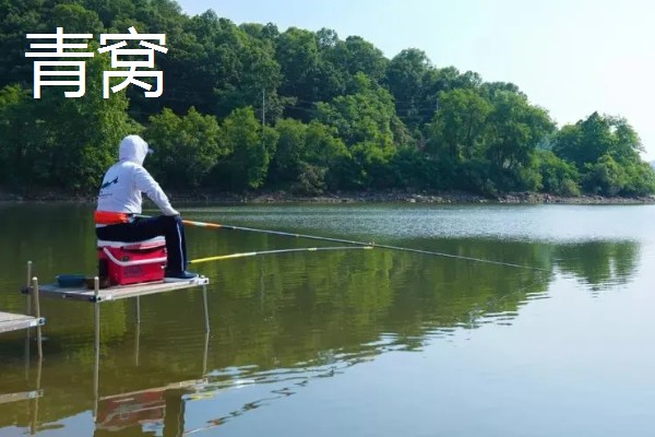 钓黑鱼用什么打窝合适，可以用鸡肝、鸭肠、蚯蚓等