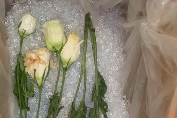 怎么将鲜花做成干花，可自然风干