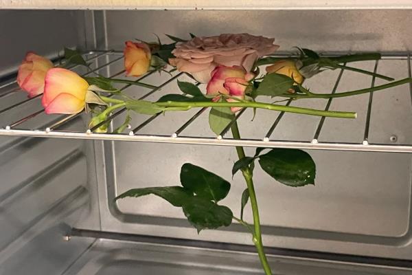 怎么将鲜花做成干花，可自然风干