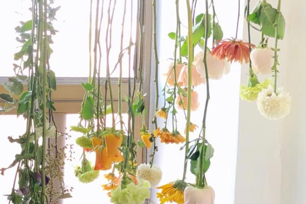 怎么将鲜花做成干花，可自然风干