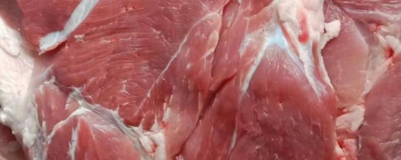后上肉和前上肉的简介，前者指后脚四周的肉、后者指前腿四周的肉