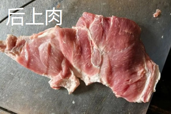 后上肉和前上肉的简介,前者指后脚四周的肉、后者指前腿四周的肉