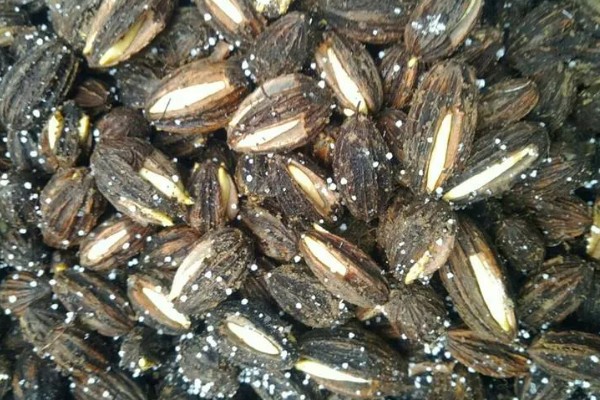 珙桐的繁殖方法,以扦插、播种、嫁接为主