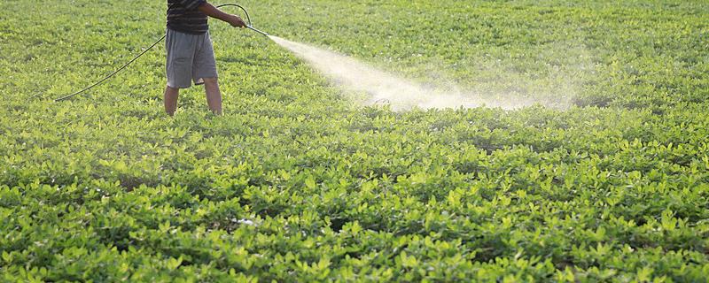 杀虫剂和杀菌剂能混用吗，可以混用