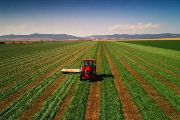 中国农业发展的首要任务，种植业是农业的重要基础