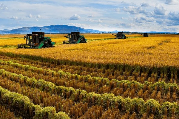 中国农业发展的首要任务，种植业是农业的重要基础