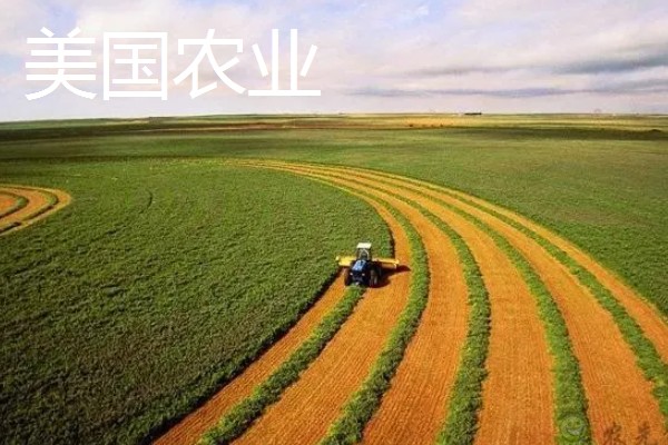 中国农业发展的首要任务，种植业是农业的重要基础