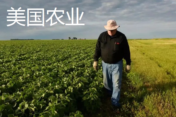 中国农业发展的首要任务，种植业是农业的重要基础