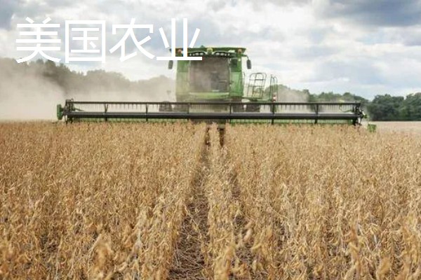 中国农业发展的首要任务，种植业是农业的重要基础