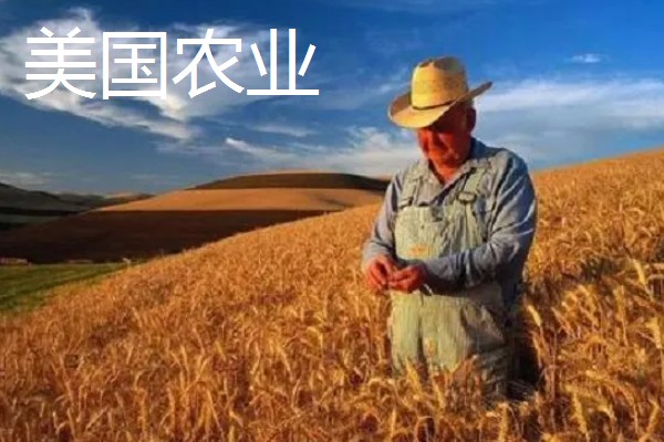 中国农业发展的首要任务，种植业是农业的重要基础