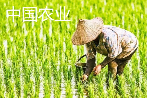 中国农业发展的首要任务，种植业是农业的重要基础