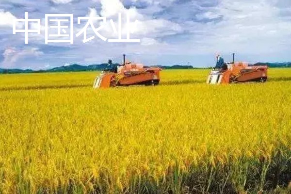 中国农业发展的首要任务，种植业是农业的重要基础