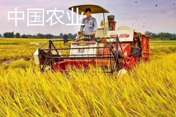 中国农业发展的首要任务，种植业是农业的重要基础