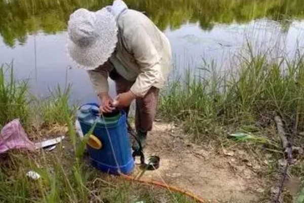 杀虫剂和杀菌剂能混用吗，可以混用