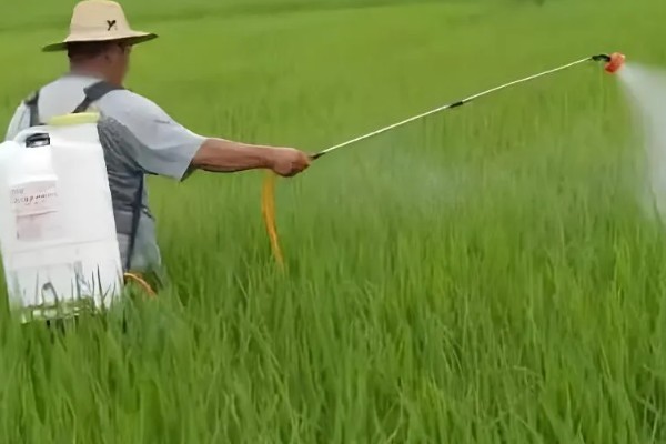杀虫剂和杀菌剂能混用吗，可以混用