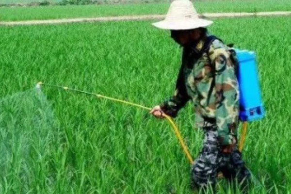 杀虫剂和杀菌剂能混用吗，可以混用