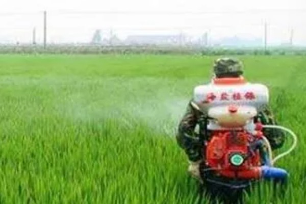 杀虫剂和杀菌剂能混用吗，可以混用