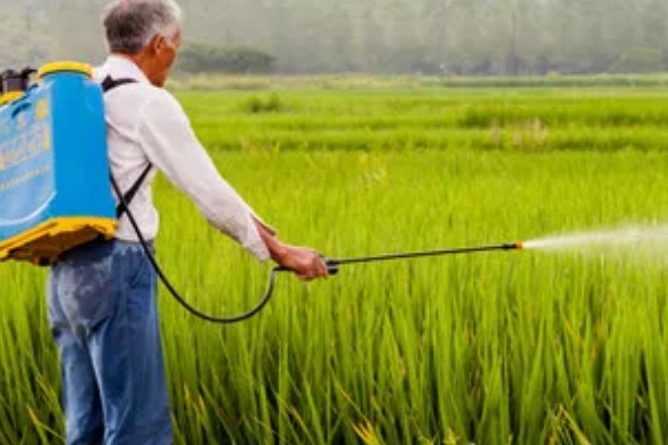 杀虫剂和杀菌剂能混用吗，可以混用