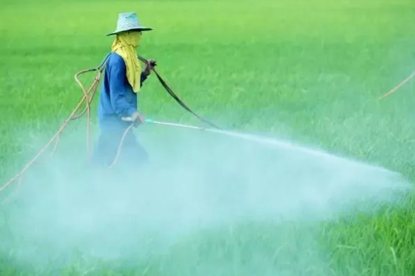 杀虫剂和杀菌剂能混用吗，可以混用