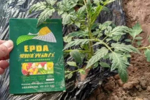植物生长调节剂如何使用,可溶液喷洒或浸泡法等