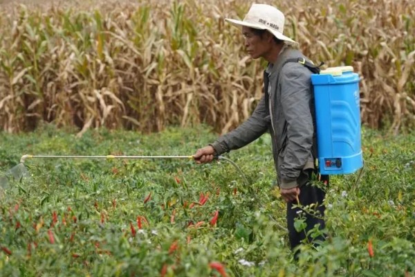 怎么使用二甲戊灵,根据使用对象决定用量