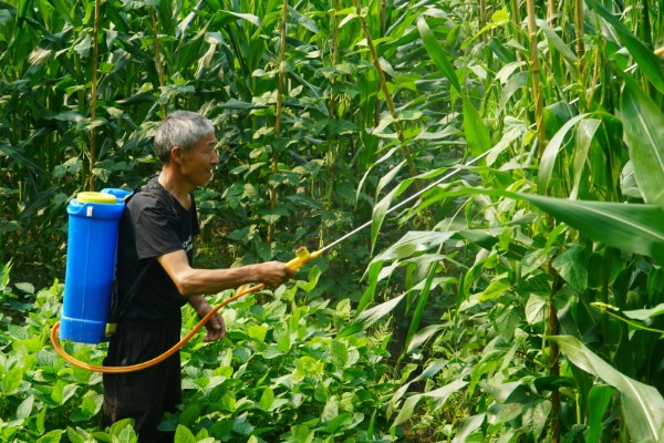 怎么使用二甲戊灵,根据使用对象决定用量