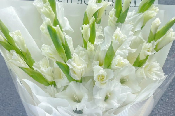 剑兰有什么种类，常见原种唐菖蒲、忧郁唐菖蒲等品种