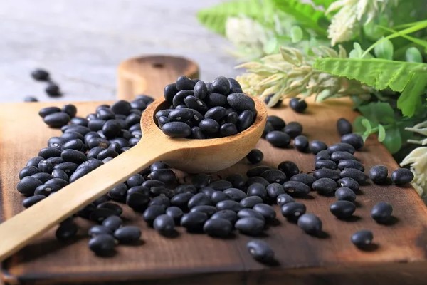 黑豆发芽了还能打豆浆吗，只要没臭味便可