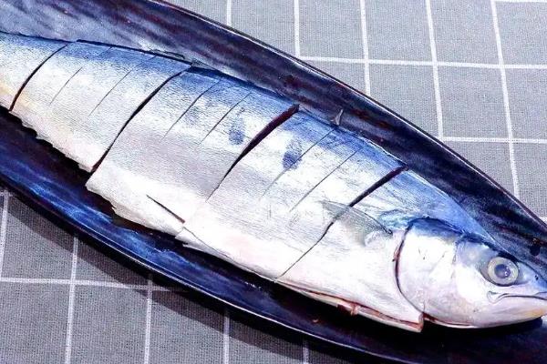竹鲛鱼和马鲛鱼有什么区别,别称、外形、口感都不同
