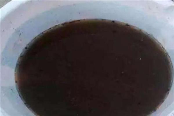 开花的君子兰有毒吗，是没有毒的
