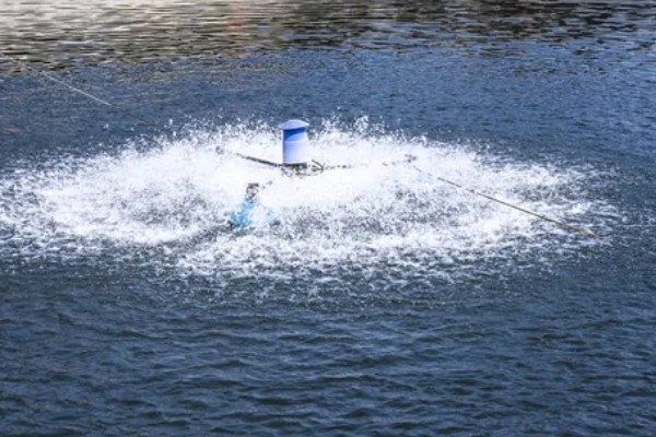 鱼塘水质怎么调理，每隔7-10天加注新鲜水