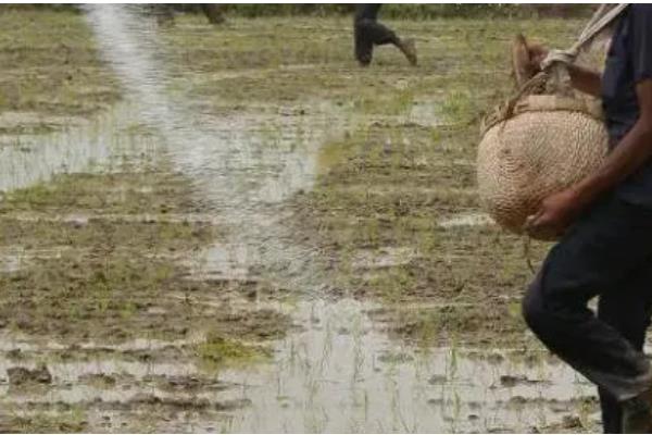 硝态氮肥有什么特点，其溶解度比较大