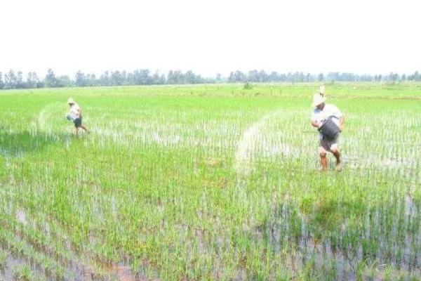 硝态氮肥有什么特点，其溶解度比较大