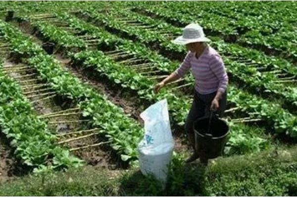 硝态氮肥有什么特点，其溶解度比较大