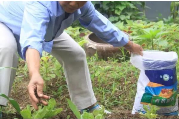 硝态氮肥有什么特点，其溶解度比较大