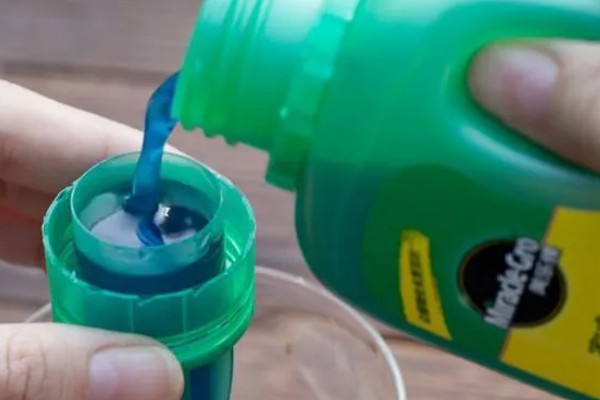 西红柿怎么种植，花序坐果、穗果膨大时要追肥