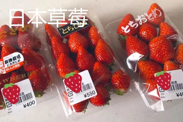 凉性碱性水果有哪些，常见的有梨子、苹果等